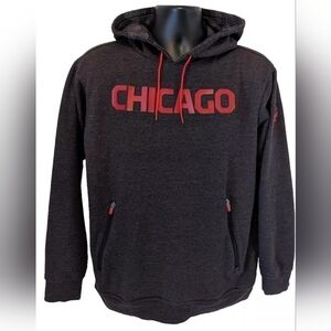 Chicago Bulls Pullover Hoodie Fanatics Men's Large Gray Zip Pockets EUC